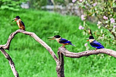 Valve公布Steam Deck OLED：更好的屏幕 售价549刀