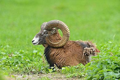  动作节奏策略游戏《节奏塔防》2025年上市