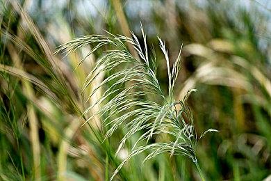 《打砖块》续作《Breakout: Recharged》公布 2月10日发售